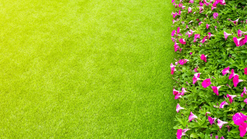 Césped artificial junto a un cantero de flores rosadas